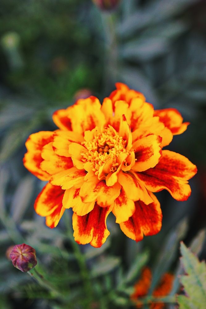 Photograph by Дарья Чертенкова