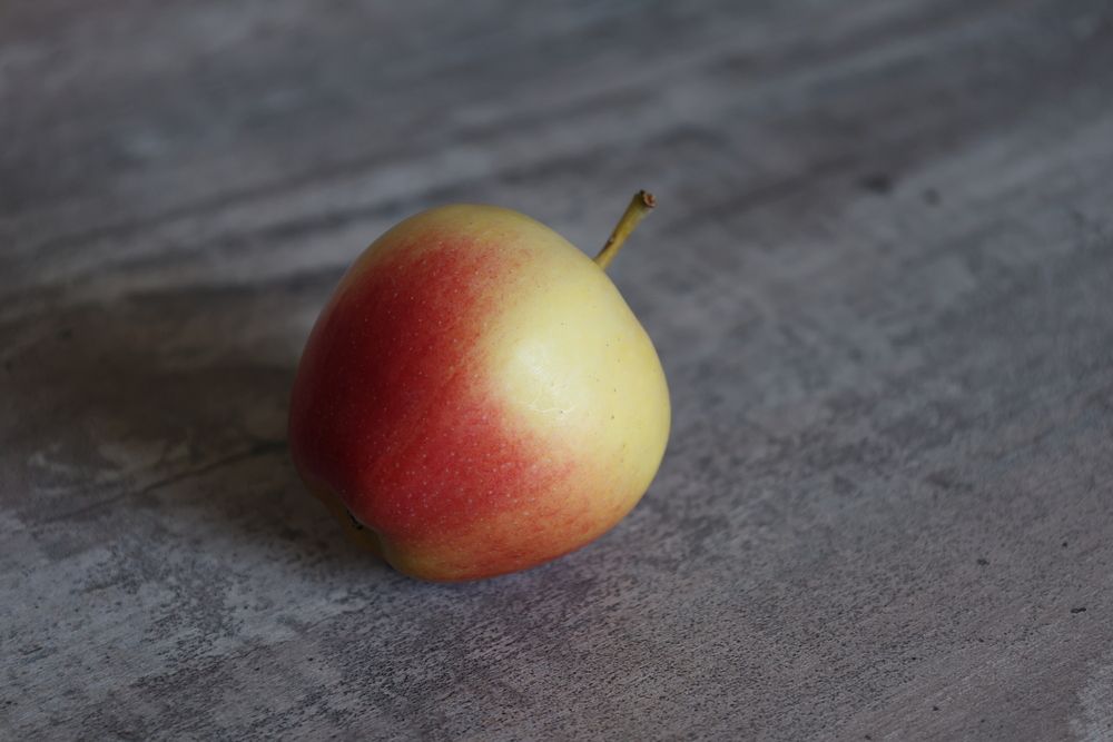 Photograph by Sergey M