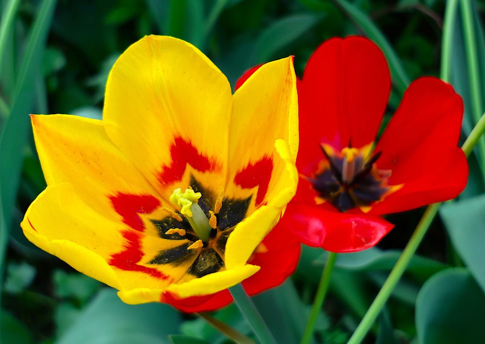 Photograph by Гагик Саркисян