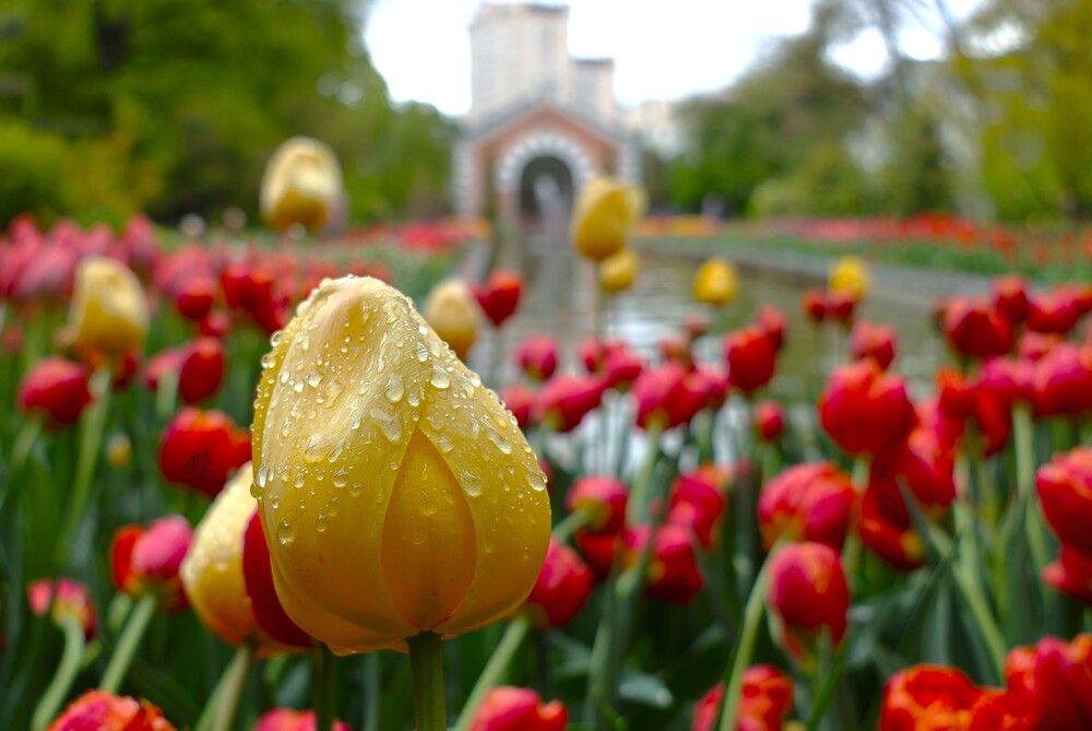 Photograph by Гагик Саркисян