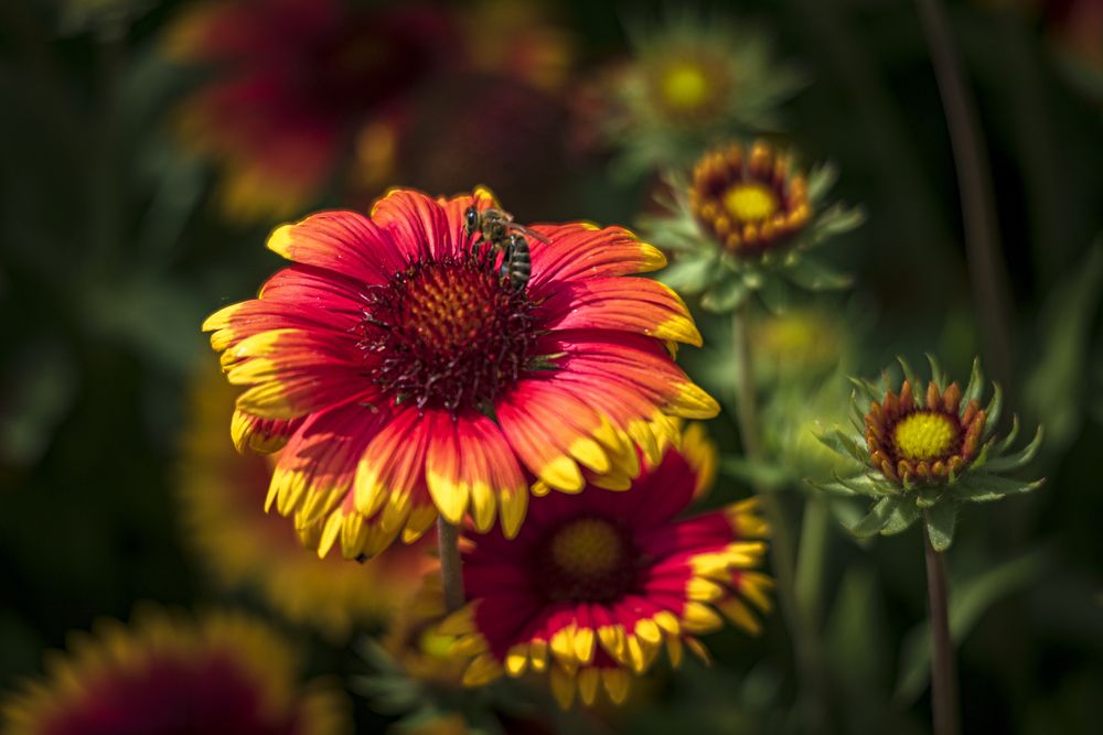 Photograph by Алексей Мякота