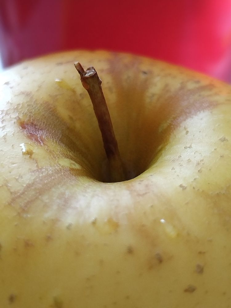 Photograph by Татьяна