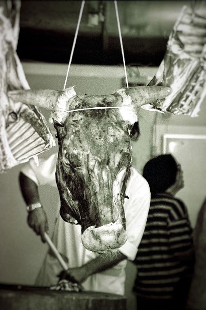 Photograph by MIHALIS KONSTANDINIDIS