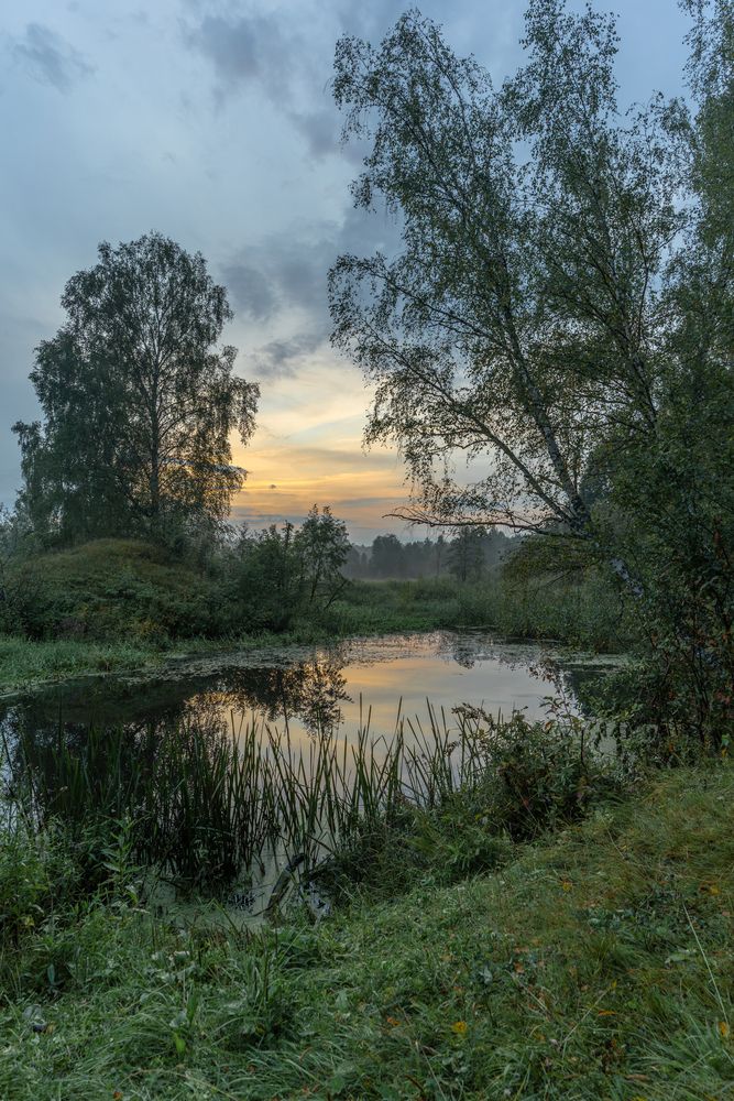 Photograph by Света Трифоненкова