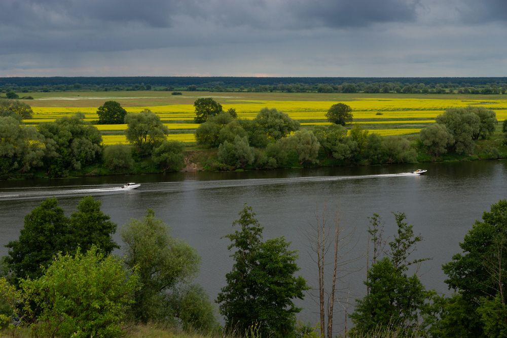 По реке, на скорости