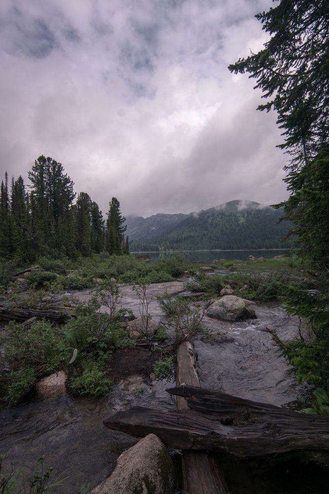 Photograph by Света Трифоненкова