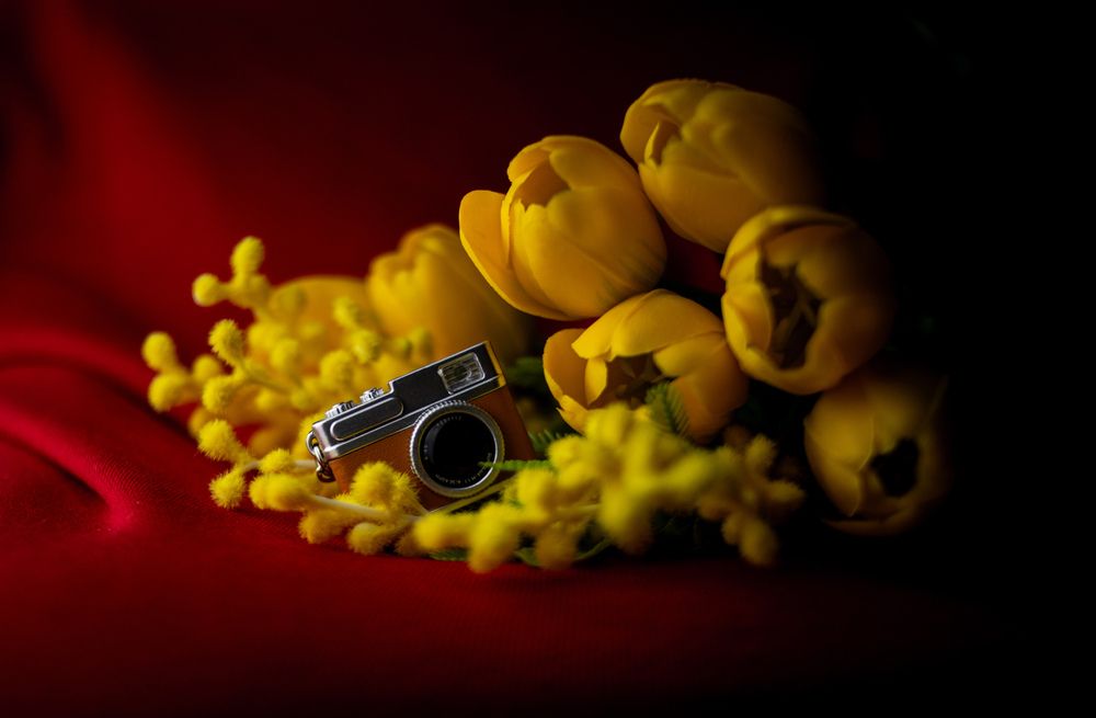 Photograph by Анастасия Зубанова