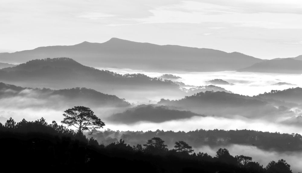Photograph by Ly Phu Tai