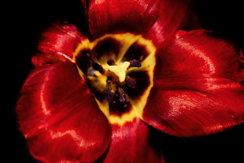 Photograph by Катрин Евстратова