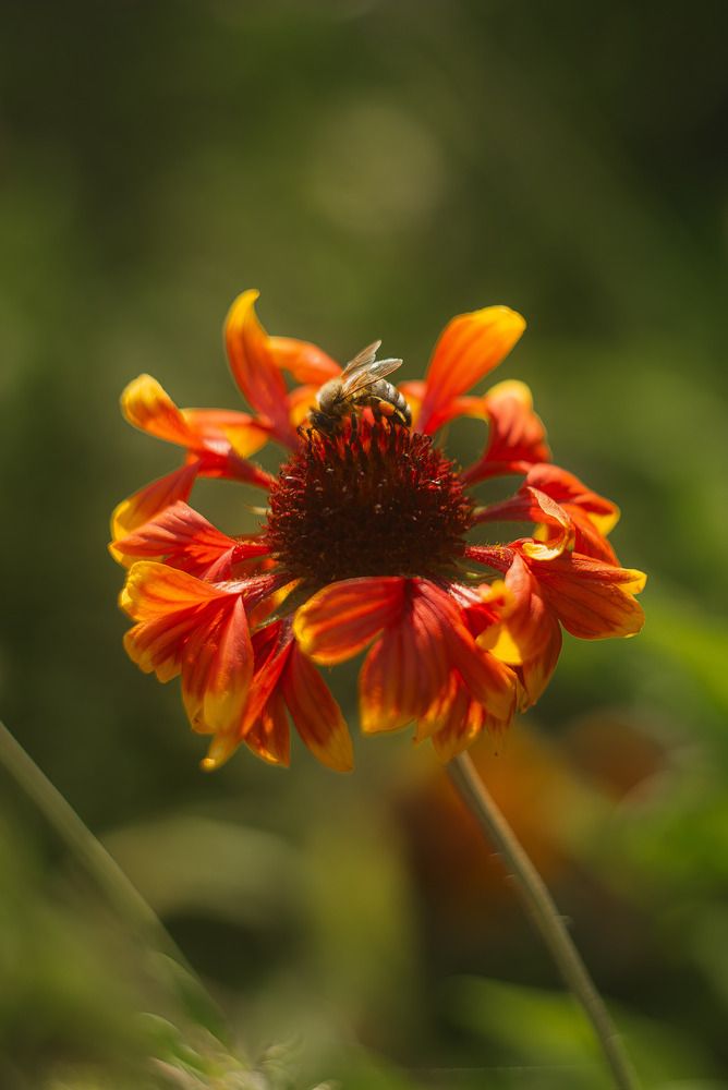 Photograph by Анна Бобкова