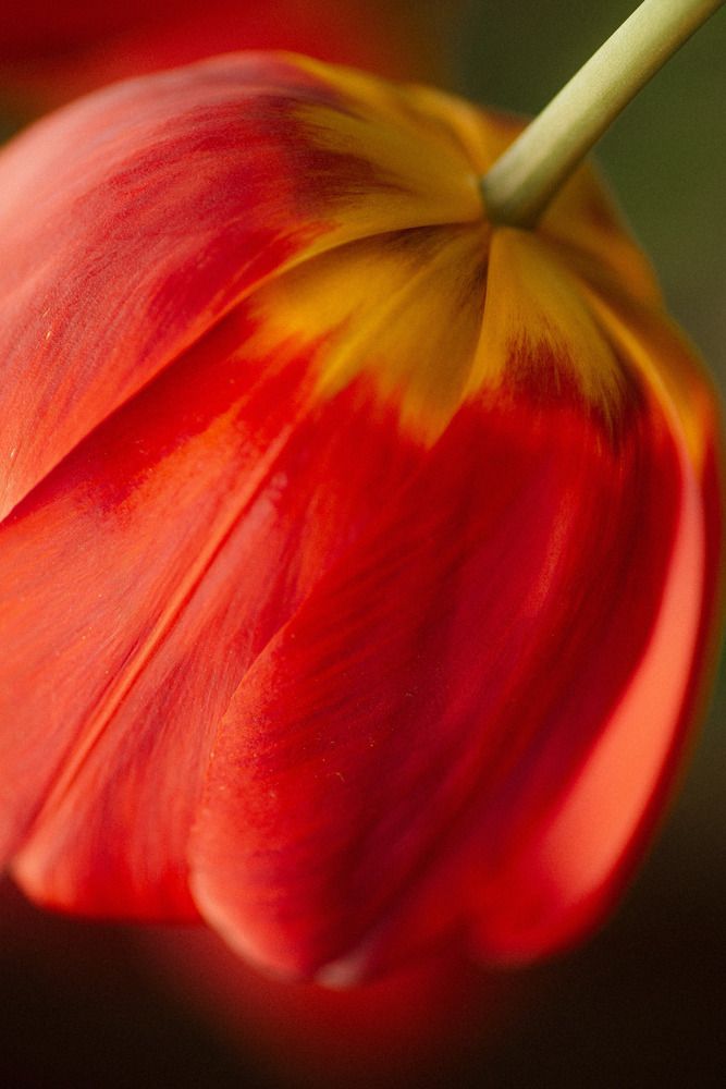 Photograph by Анна Бобкова