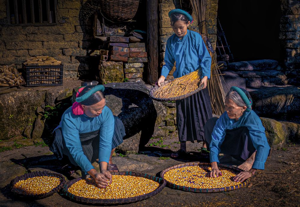 Three Generations of Harvest