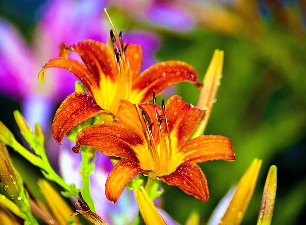 Photograph by Михаил Обертаев