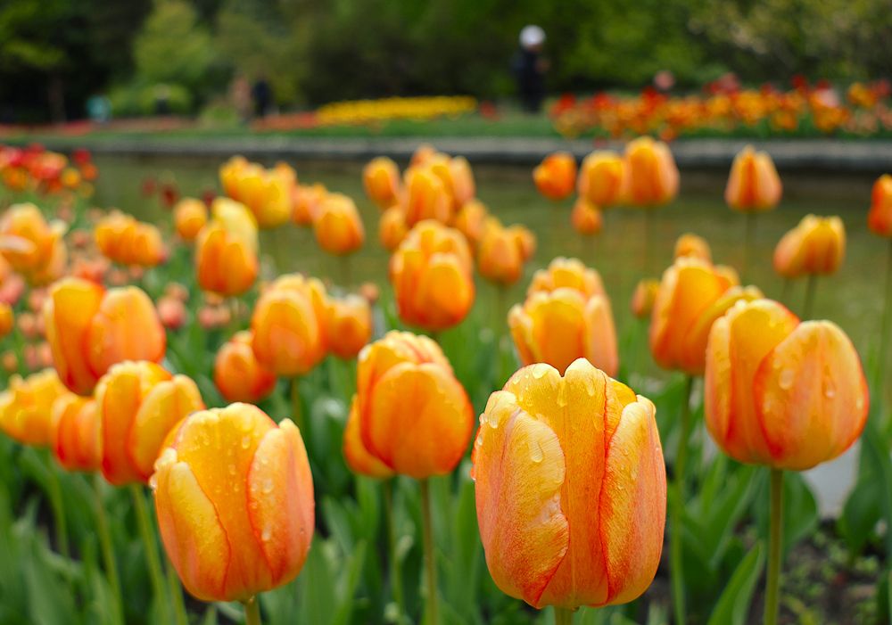 Photograph by Гагик Саркисян