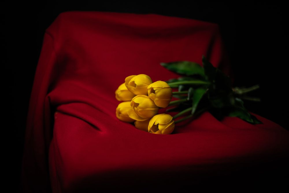 Photograph by Анастасия Зубанова