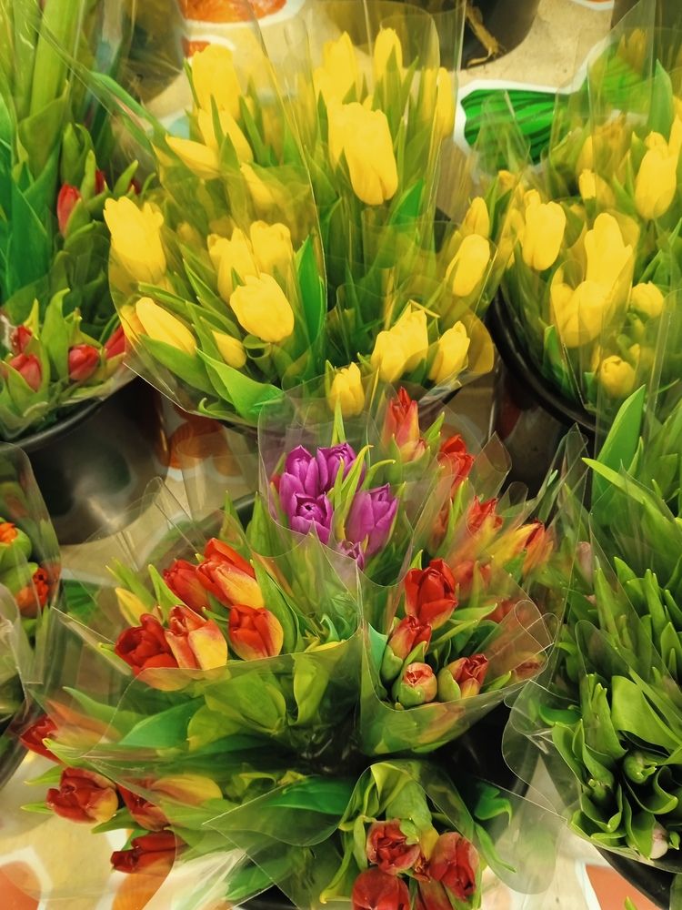 Photograph by Светлана Колбасова