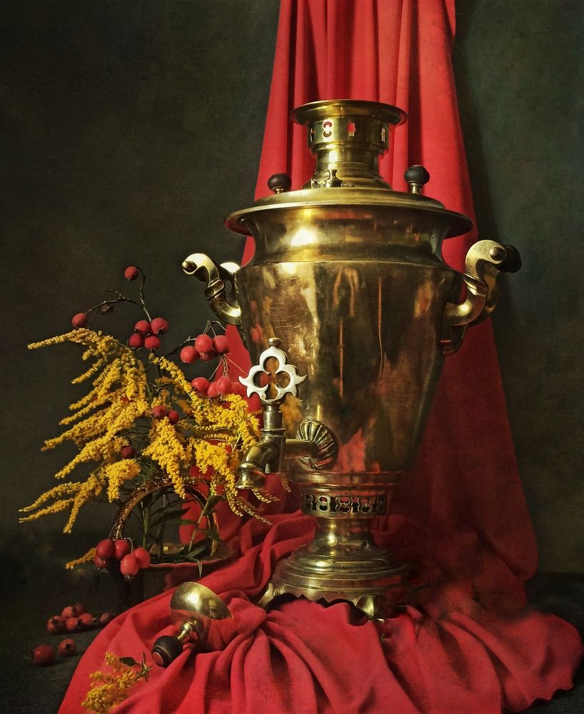 Фотография автора Elena Novikova