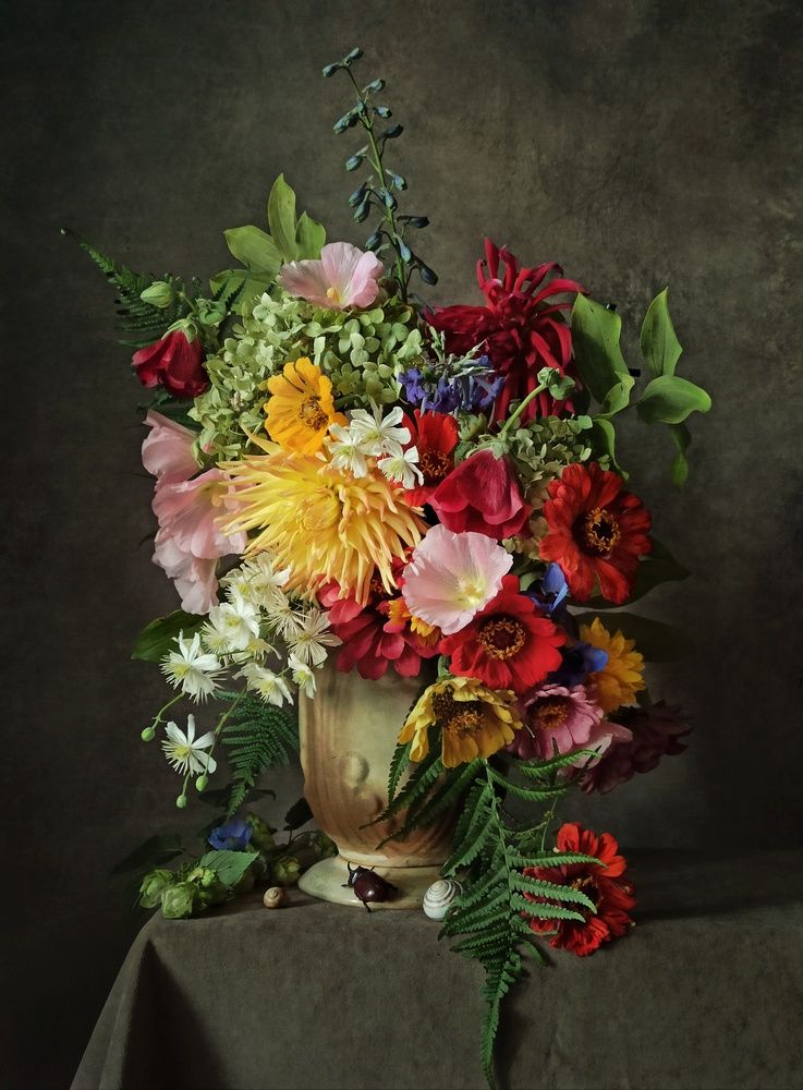 Фотография автора Elena Novikova