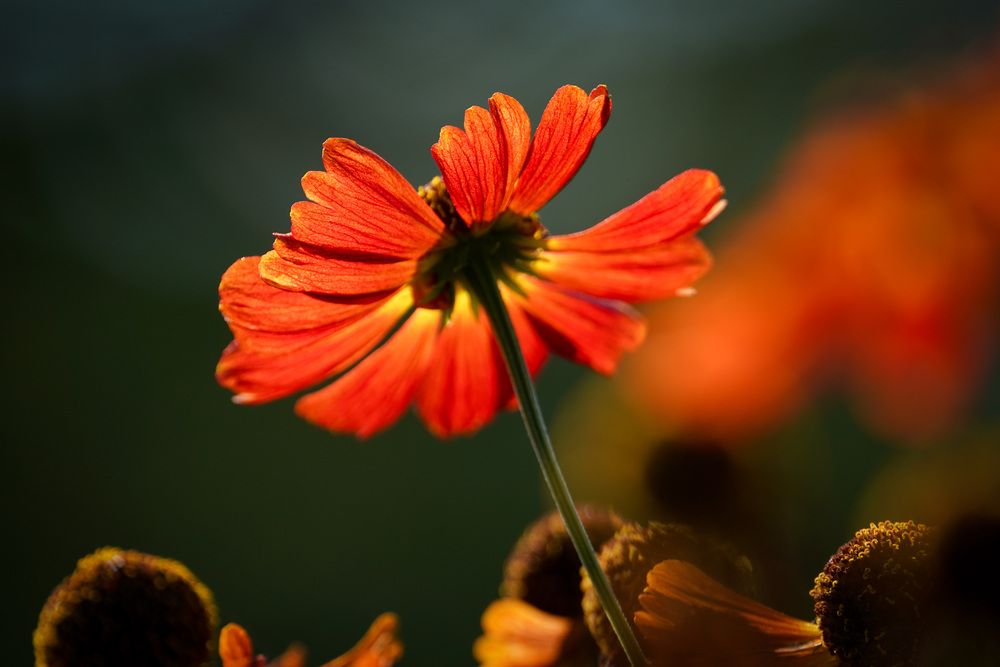 Photograph by Дмитрий