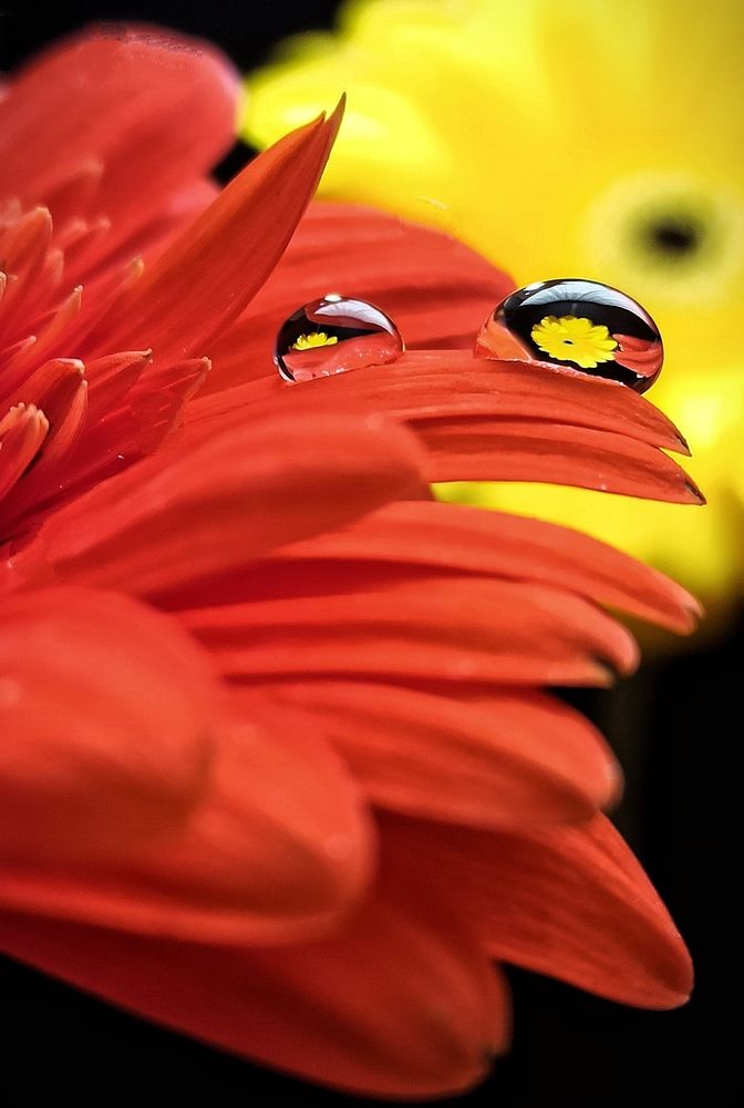 Фотография автора Elena Novikova