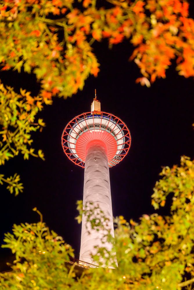 Photograph by kurodon