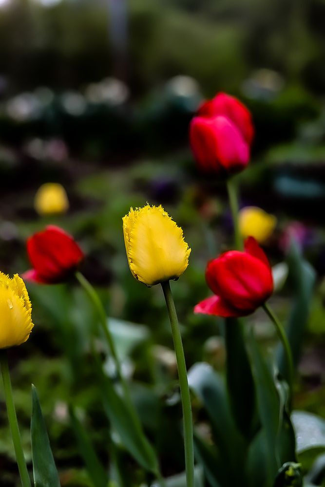 Photograph by Руслана Ковалевская