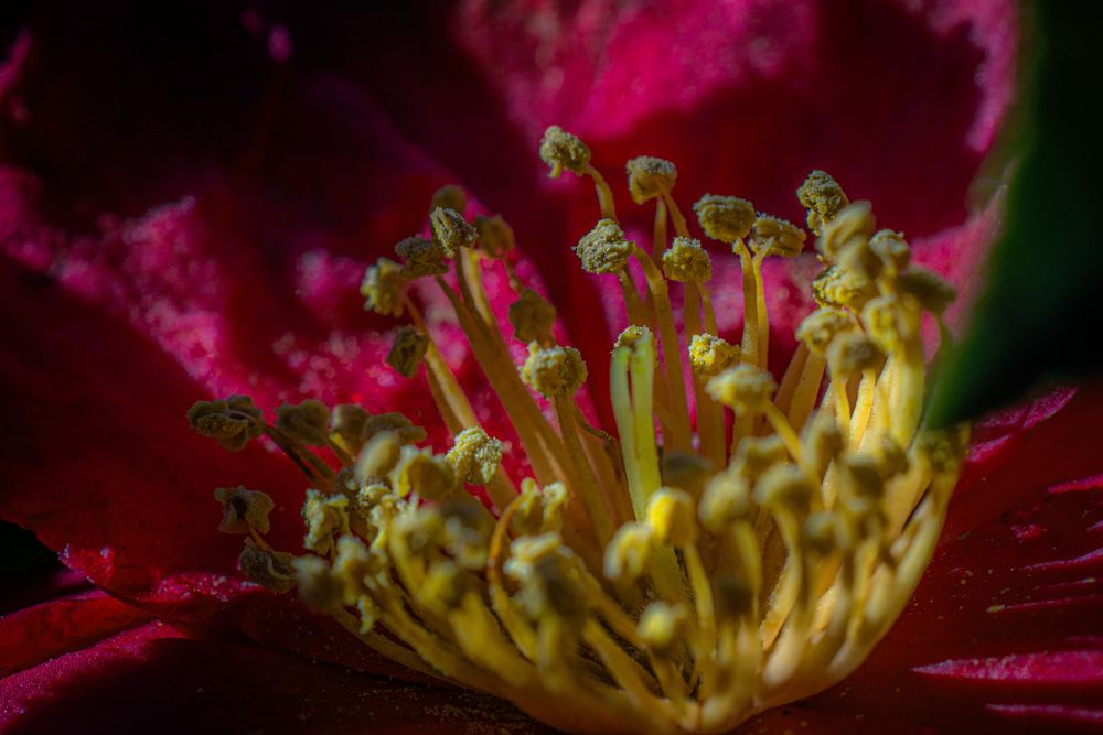 Photograph by Dyeyou