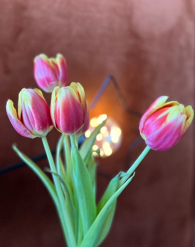 Photograph by Юлия Гермони