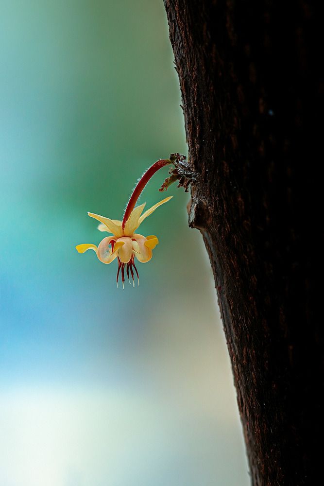 Фотография автора Dewindu H. Fernando