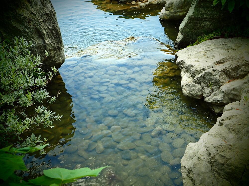 Photograph by Сергей Борисов