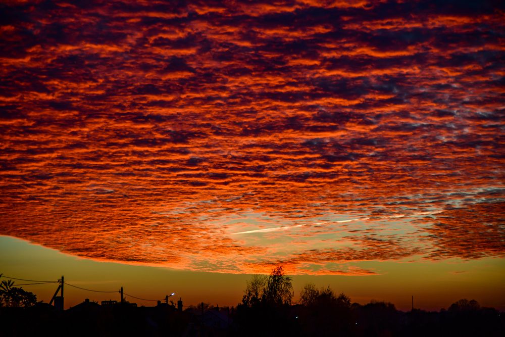 Photograph by Денчук Наталья