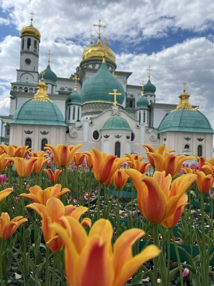 Photograph by Виктория Ляпина