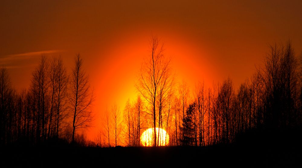 Photograph by Галина Лубянникова
