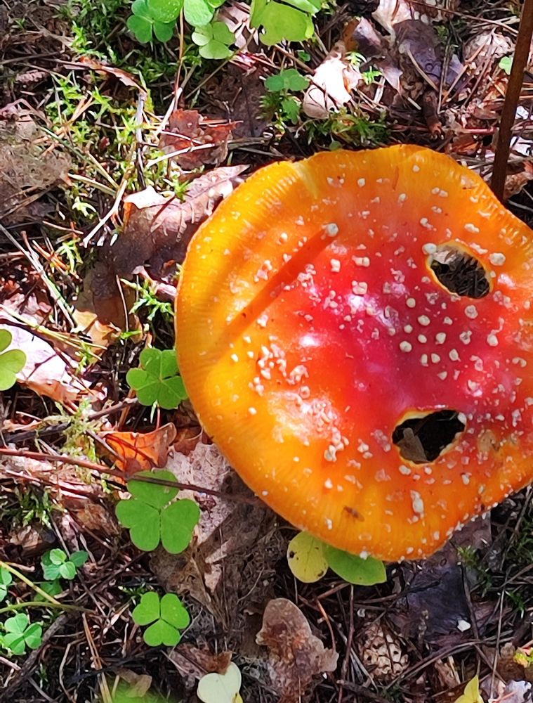 Photograph by Елена Юдина