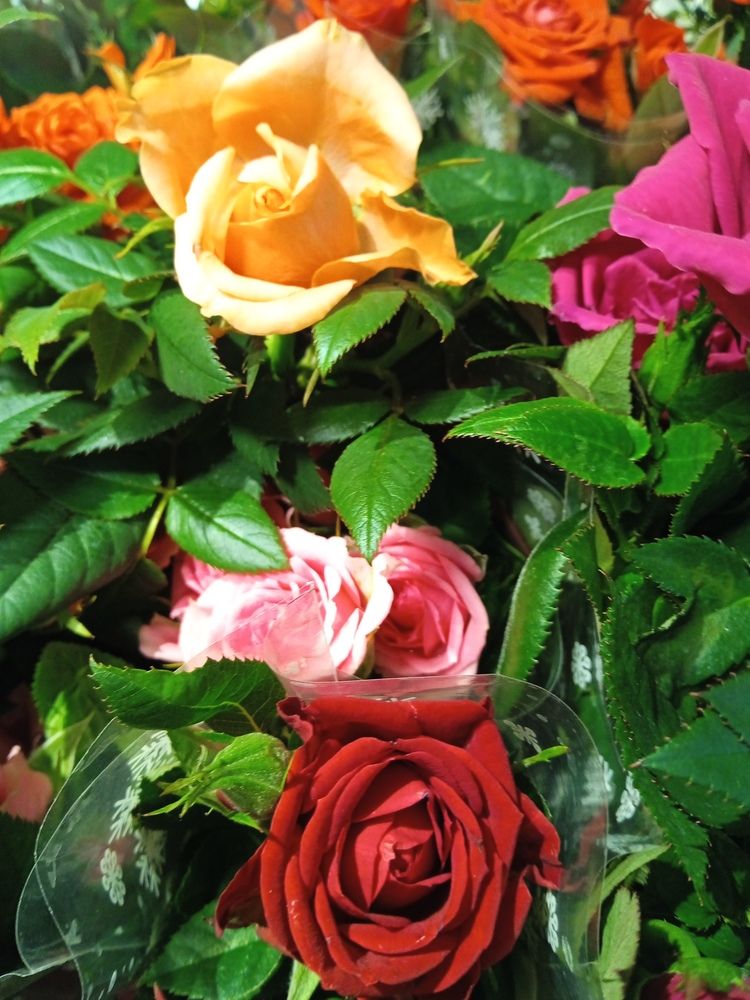 Photograph by Светлана Колбасова