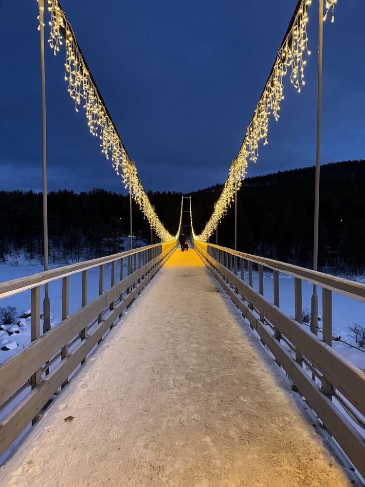 Фотография автора Светлана Ляпина
