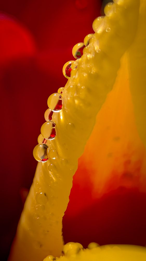 Фотография автора Iryna Usanova