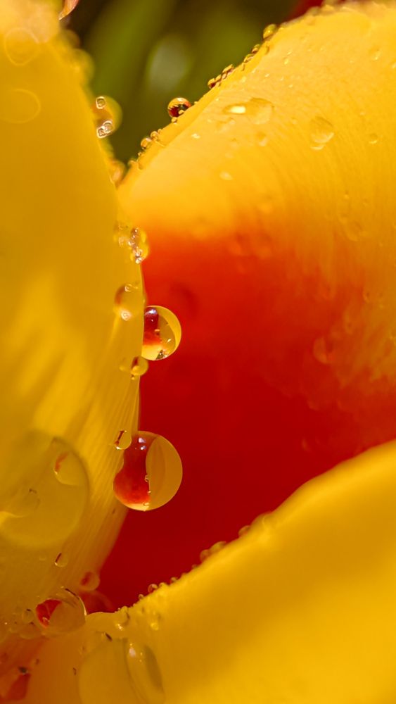 Фотография автора Iryna Usanova