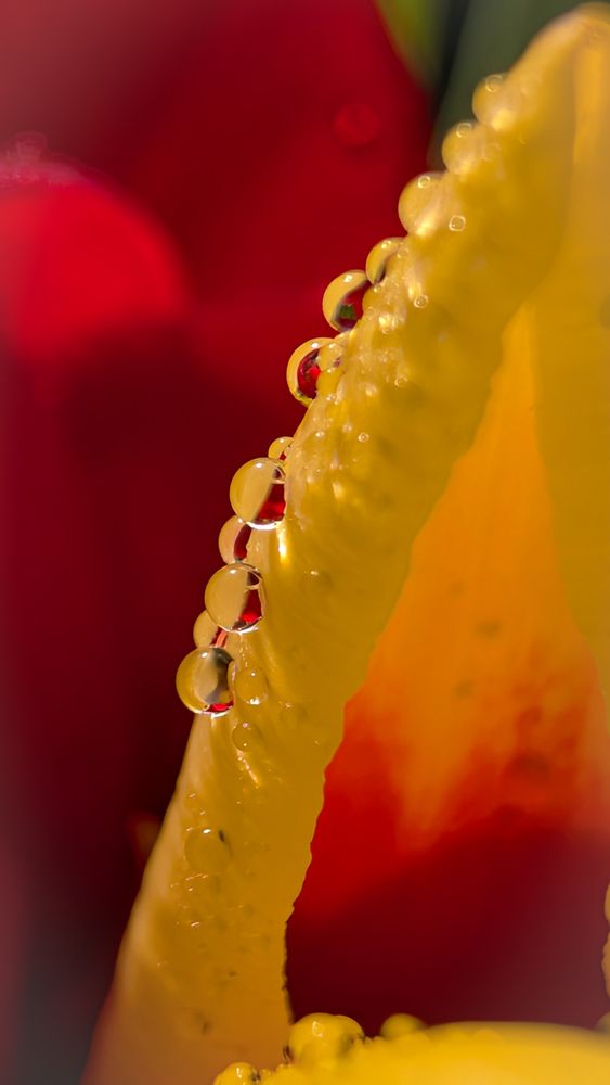 Фотография автора Iryna Usanova