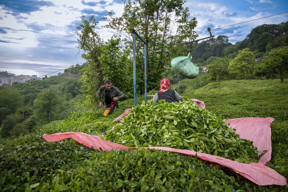 Фотография автора Bekir Büyükgöz