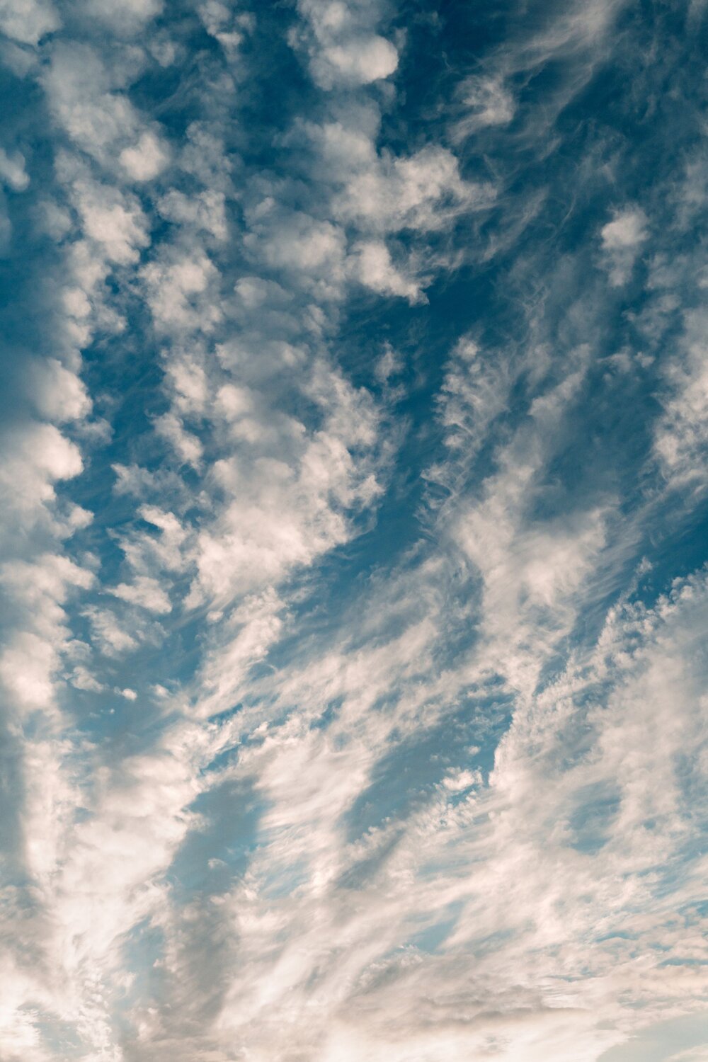 Photo #13420519