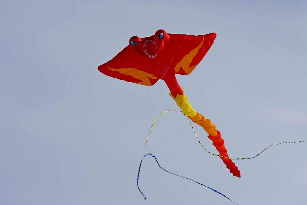 Photograph by Александр Велигура