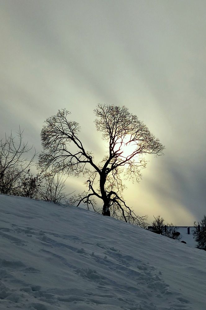 Photograph by Ольга Юрченко