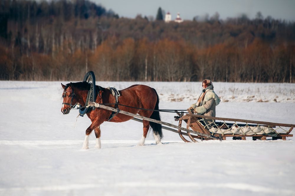 Photograph by Полина Ф