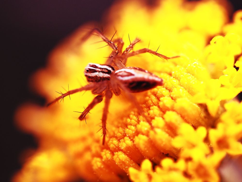 Photograph by Сергей Борисов