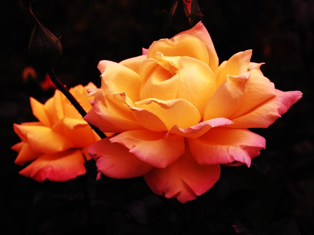 Photograph by Сергей Борисов