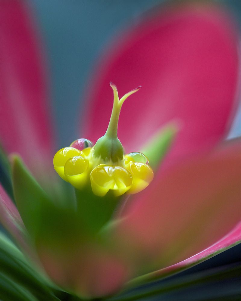 Фотография автора Мила Миронова