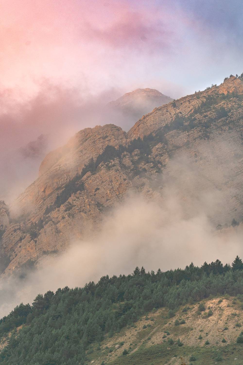 Photo #13420759