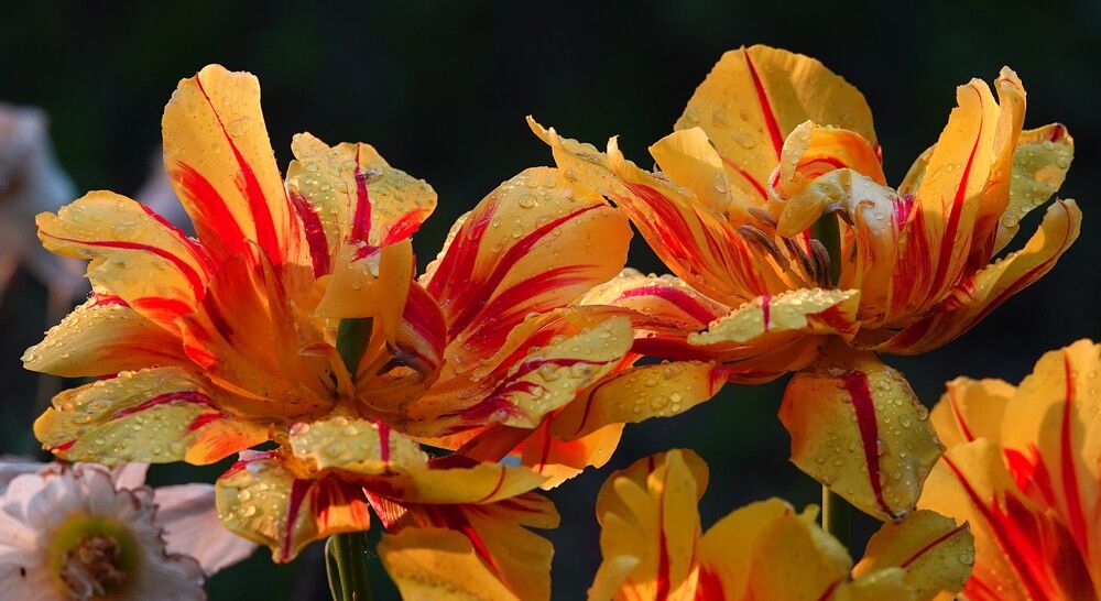 Фотография автора Zakharov Matvey