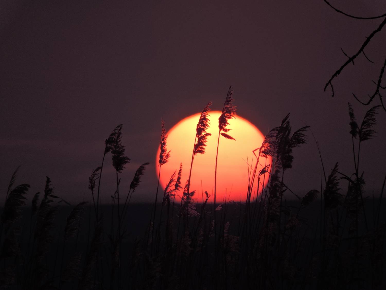 Photo #13420776